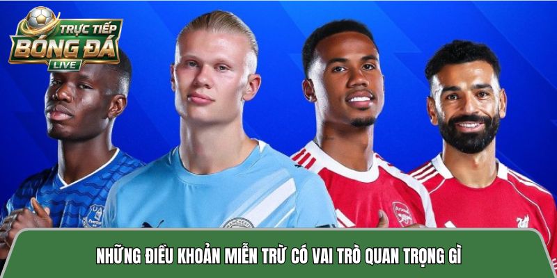 Những điều khoản miễn trừ có vai trò quan trọng gì